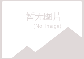 阳西县雅山化学有限公司